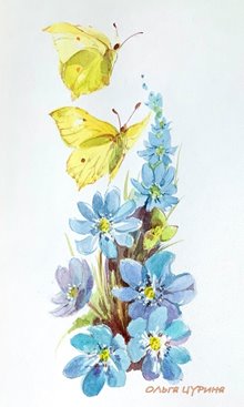 1.3.1 Русский лес